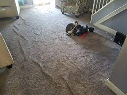 carpet stretching in dundalk to correct