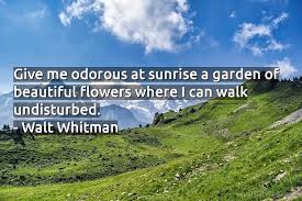 10+ Walt Whitman Quotes - CoolNSmart