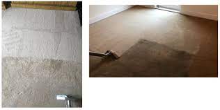 professional carpet cleaning chemicals