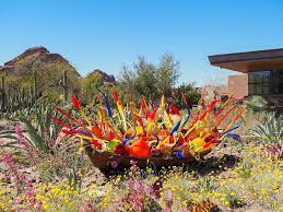 desert botanical garden in phoenix arizona