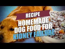 food recipes for dogs with kidney