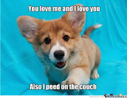 Cute Puppy by incendia - Meme Center via Relatably.com