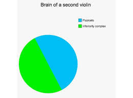 Second Violin Thoughts Of Classical Music Professionals In