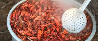 what-kind-of-pot-do-you-use-for-crawfish-boil