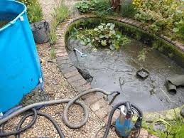 Garden Pond Maintenance