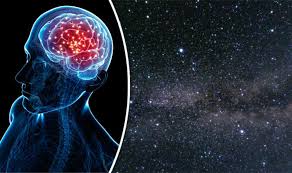 A world we never imagined' Study finds Human brain operates in '11  different dimensions' | Science | News | Express.co.uk