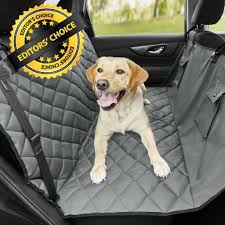 6 Best Dog Car Protector 2022 Review