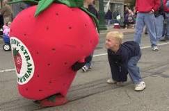 is-the-troy-strawberry-festival-free