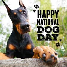 Even though each species has its own distinct looks and characteristics. Pin On Zulu The Doberman