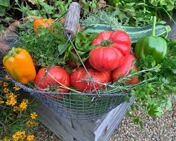 health benefits of growing your own food