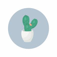 Cactus Desert Plant Pot Succulent