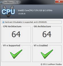 how to enable hardware virtualization