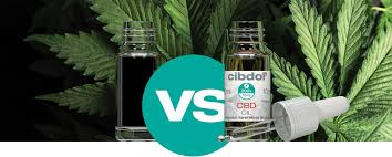 Cannabis oil 1 is basically the concentrated resinous, sticky substance that is extracted from the cannabis plant. Cannabis Oil What You Need To Know Cibdol