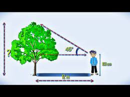 Klinometer bisa digunakan untuk menentukan tinggi matahari awal waktu dzuhur dan ashar. Tugas Matematika Menghitung Tinggi Pohon Menggunakan Klinometer Youtube