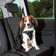 Buy Trixie Dog Protect Car Harness