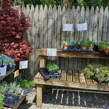 Top 10 Best Nurseries Gardening Near