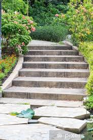 outdoor stairs in the garden wall mural