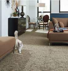 carpet flooring nylon vs polyester