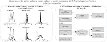 Comparative Physiological Energetics Of Mediterranean And