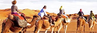 Assume that the variables a, b, c, d, and you can do this all in one expression, but let's break it up to make it easier to understand. Camel Ride In Maspalomas Gran Canaria