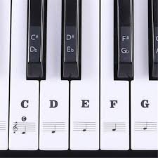 Details About Music Keyboard Piano Stickers Transparent Full Set 49 61 76 88 Key Free Bonuses