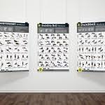 3 Workout Poster Pack Dumbbell Exercises Bodyweight