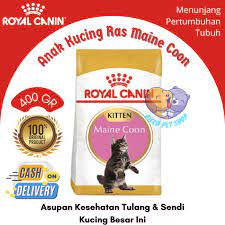 jual royal canin kitten maine 400g