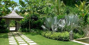 Terrace Garden India