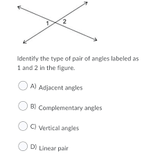 identify the type of pair of angles