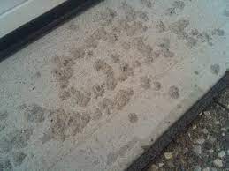 Repair Spalling Concrete Foundations