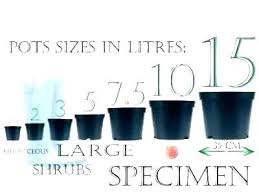 Flower Pot Sizes Product Description Floridaoranges Co