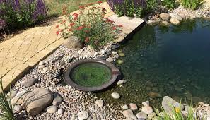 Water Features Samantha Mckay Garden