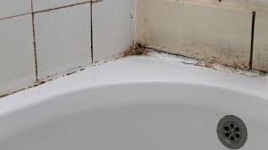 Is Black Mold In The Shower Dangerous