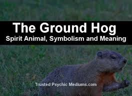 How to identify if you have gophers, moles, or voles digging up your yard.new mouse/rat trap videos every sunday & monday. The Groundhog Spirit Animal A Complete Guide