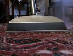 carpet cleaning canton ga spot on