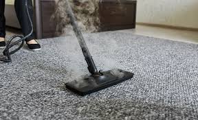 clean steam and maintain your carpet