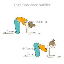 Cat pose and cow pose are different but they are paired together. Cat Cow Pose Forearms Yoga Bitilasana Marjaryasana Forearms Yoga Sequences Benefits Variations And Sanskrit Pronunciation Tummee Com