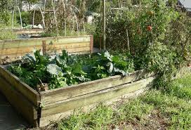 Raised Garden Bed Ideas And Materials