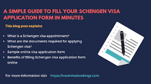 Renewal program for other visa categories: Fill Your Schengen Visa Application Form In 5 Minutes