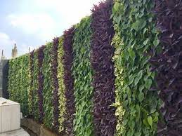 Natural Plants Pvc Aglo Living Wall