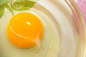 stringy white stuff in eggs