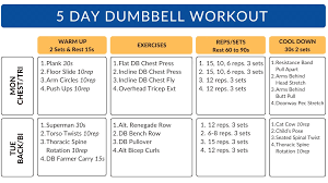 5 day super dumbbell workout plan pdf