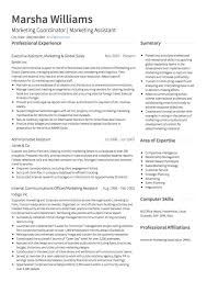 Example Of Area Of Interest In Resume   Free Resume Example And     CV Plaza experience resume examples examples resumes resume for jobs socceryourself  job examples resumes resume templates inspiration student