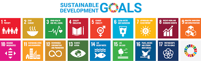 sustainable development goals sappi