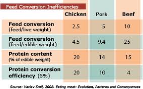 Feed To Meat Conversion Inefficiency Ratios A Well Fed World