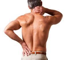 It is important to engage these muscles often to prevent lower back pain, knee pain and specifically gluteus medius pain. The Role Of Glute Med In Lower Back Pain Pivotal Motion Physiotherapy