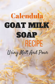 calendula goat milk soap recipe using