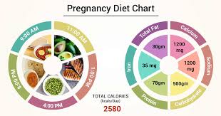 pregnancy t chart chart