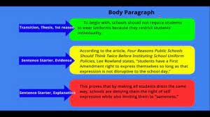 argument essay body paragraphs you