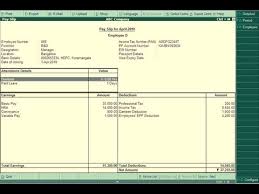 How To Create Payslip In Tally Erp 9 Youtube
